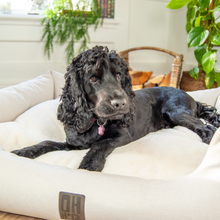 Load image into Gallery viewer, The Slumber Tray Bed - Ivory