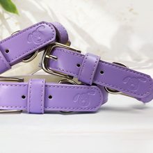 Load image into Gallery viewer, Vegan Leather Collar & Lead Set - Lopsided Lilac