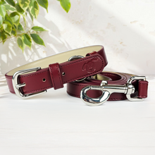 Load image into Gallery viewer, Vegan Leather Collar & Lead Set - Mum's Red Wine
