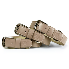 Load image into Gallery viewer, Vegan Leather Collar & Lead Set - (Prefers Matcha) Mocha