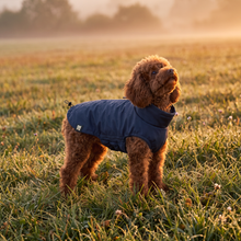 Load image into Gallery viewer, Wet Walkies Raincoat - Navy Seal