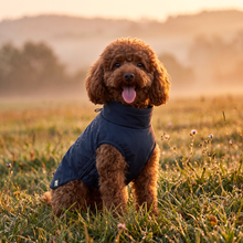 Load image into Gallery viewer, Wet Walkies Raincoat - Navy Seal
