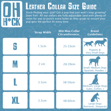 Load image into Gallery viewer, Vegan Leather Collar & Lead Set - (Prefers Matcha) Mocha