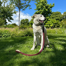 Load image into Gallery viewer, Vegan Leather Collar & Lead Set - Mum's Red Wine