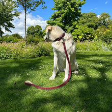 Load image into Gallery viewer, Vegan Leather Collar & Lead Set - Mum's Red Wine