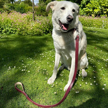 Load image into Gallery viewer, Vegan Leather Collar & Lead Set - Mum's Red Wine