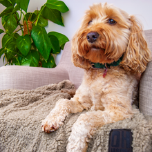 Load image into Gallery viewer, 100% Recycled Fluffy Dog Blanket - Stone