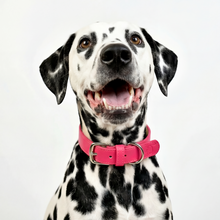 Load image into Gallery viewer, Vegan Leather Collar & Lead Set - Rebel Pink