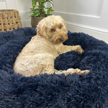 Load image into Gallery viewer, Calming Donut Bed - Frenchie Blue
