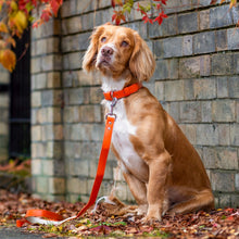 Load image into Gallery viewer, Vegan Leather Dog Collar - Coral