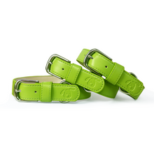 Load image into Gallery viewer, Vegan Leather Dog Collar - Spring Green