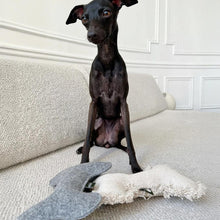 Load image into Gallery viewer, The Emotional Support Bone - Gray