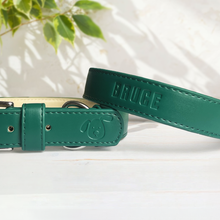 Load image into Gallery viewer, Vegan Leather Dog Collar - Racing Green