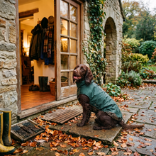 Load image into Gallery viewer, Wet Walkies Dog Coat - Puddle Goblin