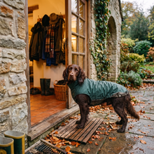 Load image into Gallery viewer, Wet Walkies Dog Coat - Puddle Goblin