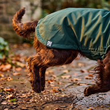Load image into Gallery viewer, Wet Walkies Dog Coat - Puddle Goblin