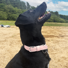 Load image into Gallery viewer, Vegan Leather Dog Collar - Baby Pink