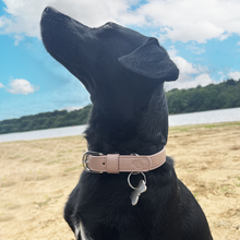 Load image into Gallery viewer, coffee dog collar