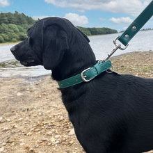 Load image into Gallery viewer, Vegan Leather Dog Collar - Racing Green