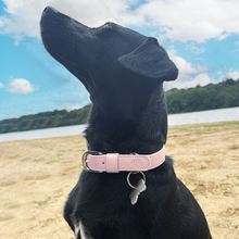 Load image into Gallery viewer, Vegan Leather Dog Collar - Baby Pink