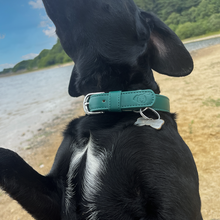 Load image into Gallery viewer, Vegan Leather Dog Collar - Racing Green