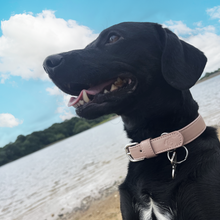 Load image into Gallery viewer, nude dog collar
