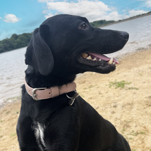 Load image into Gallery viewer, Vegan Leather Dog Collar - Mocha