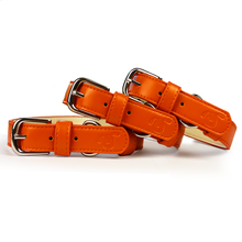 Load image into Gallery viewer, Vegan Leather Dog Collar - Coral