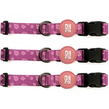 Load image into Gallery viewer, Collie-fornia Love Collar