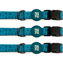 Load image into Gallery viewer, Jurassic Bark Collar