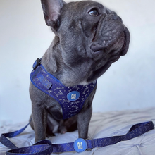 Load image into Gallery viewer, Hot-dawgs Harness