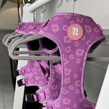 Load image into Gallery viewer, Collie-fornia Love Harness