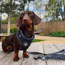 Load image into Gallery viewer, Classy Mother Pupper Harness