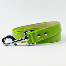 Load image into Gallery viewer, Vegan Leather Dog Lead - Spring Green