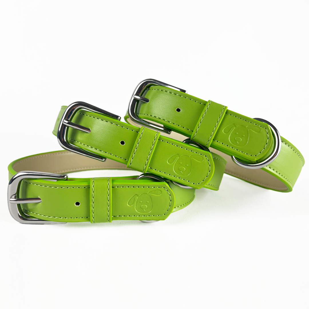 Green 2024 puppy collar