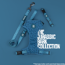 Load image into Gallery viewer, Jurassic Bark Harness