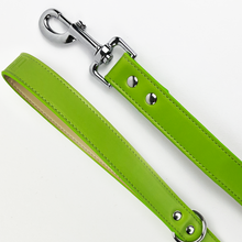 Load image into Gallery viewer, Vegan Leather Dog Lead - Spring Green