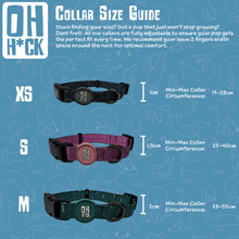 Load image into Gallery viewer, Jurassic Bark Collar