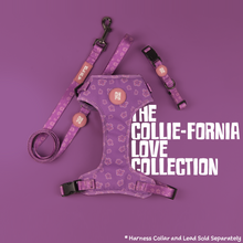Load image into Gallery viewer, Collie-fornia Love Harness
