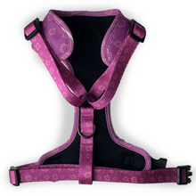 Load image into Gallery viewer, Collie-fornia Love Harness
