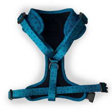 Load image into Gallery viewer, Jurassic Bark Harness