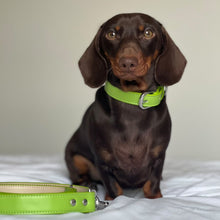 Load image into Gallery viewer, Vegan Leather Dog Collar - Spring Green