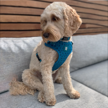 Load image into Gallery viewer, Jurassic Bark Harness