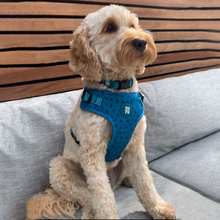 Load image into Gallery viewer, Jurassic Bark Harness