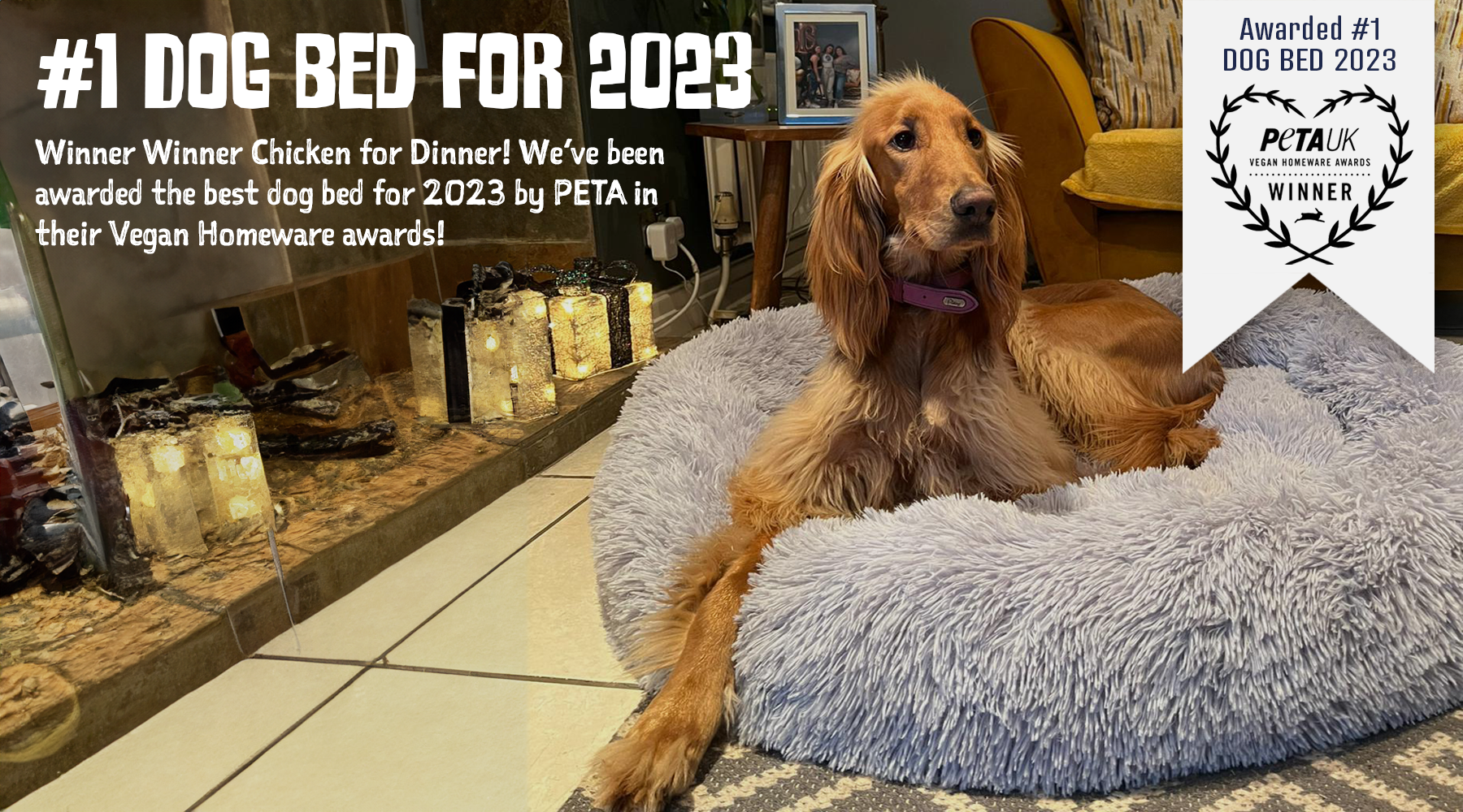 Awarded the Best Dog Bed for 2023!