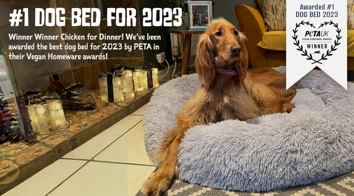 Awarded the Best Dog Bed for 2023!