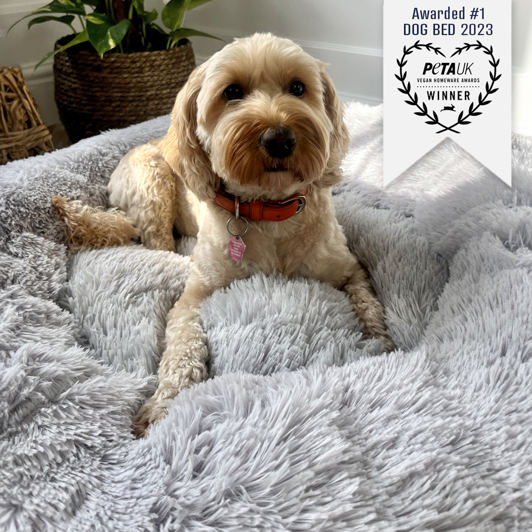 Calming Donut Bed - Husky Grey