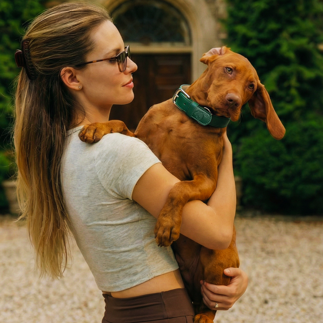 Vegan Leather Dog Collar - Racin’ Green