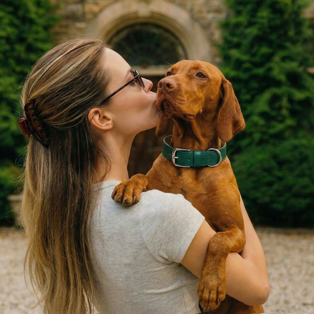 Vegan Leather Dog Collar - Racin’ Green