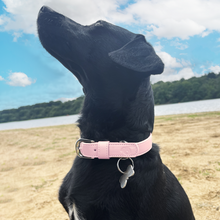 Load image into Gallery viewer, Baby Pink Vegan Dog Collar
